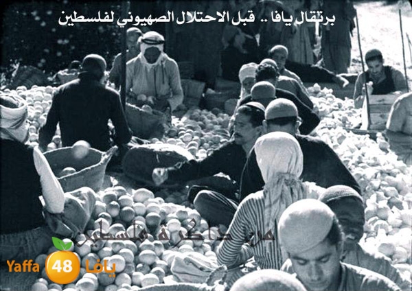 yaffa old pcur (3).jpg.jpg